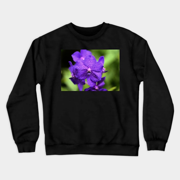 Purple flowers Crewneck Sweatshirt by RobertsArt